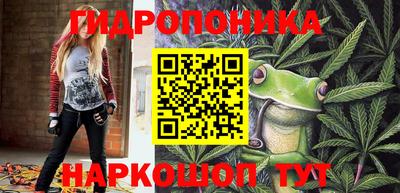 эйфоретик Норильск
