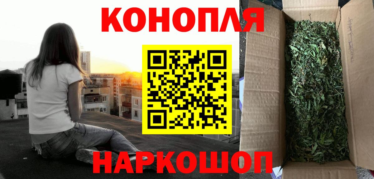 Конопля OG Kush Волжск